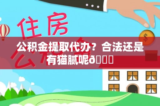 铜锣公积金提取代办？合法还是有猫腻呢😏